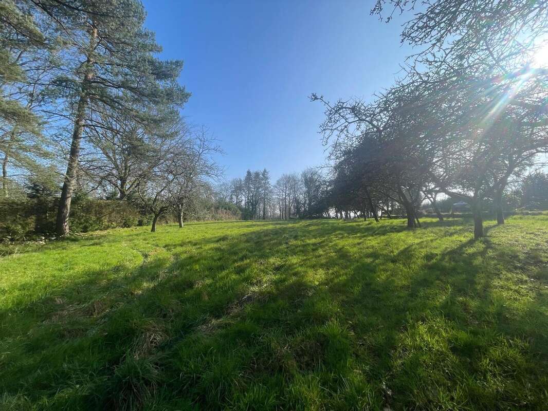 Photo 3 - Terrain à MOLAC