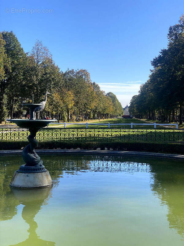 Commerce à MAISONS-LAFFITTE