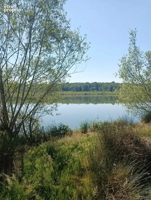 Vente étang de 11 ha environ sur terrain de 14 ha environ AILLONCOURT (70) - photo 6