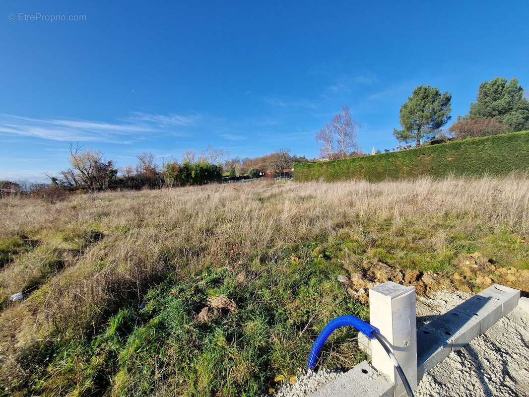 Photo 3 - Terrain à MOISSIEU-SUR-DOLON