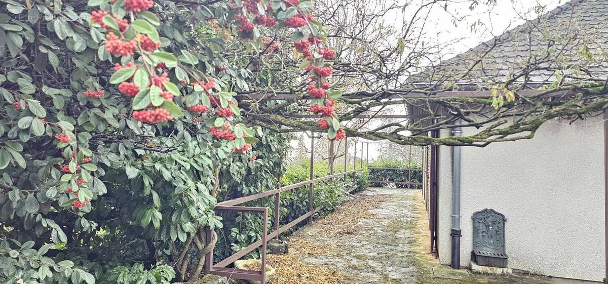 Maison à SAINT-CYR-AU-MONT-D&#039;OR