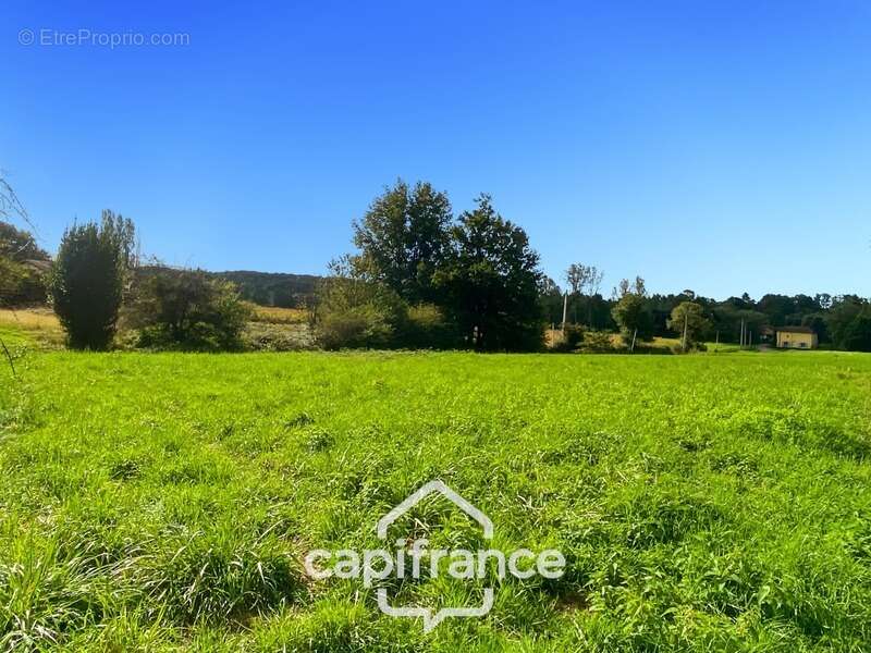 Terrain à vendre  CONDAL (71) - 800m² constructible - photo 2