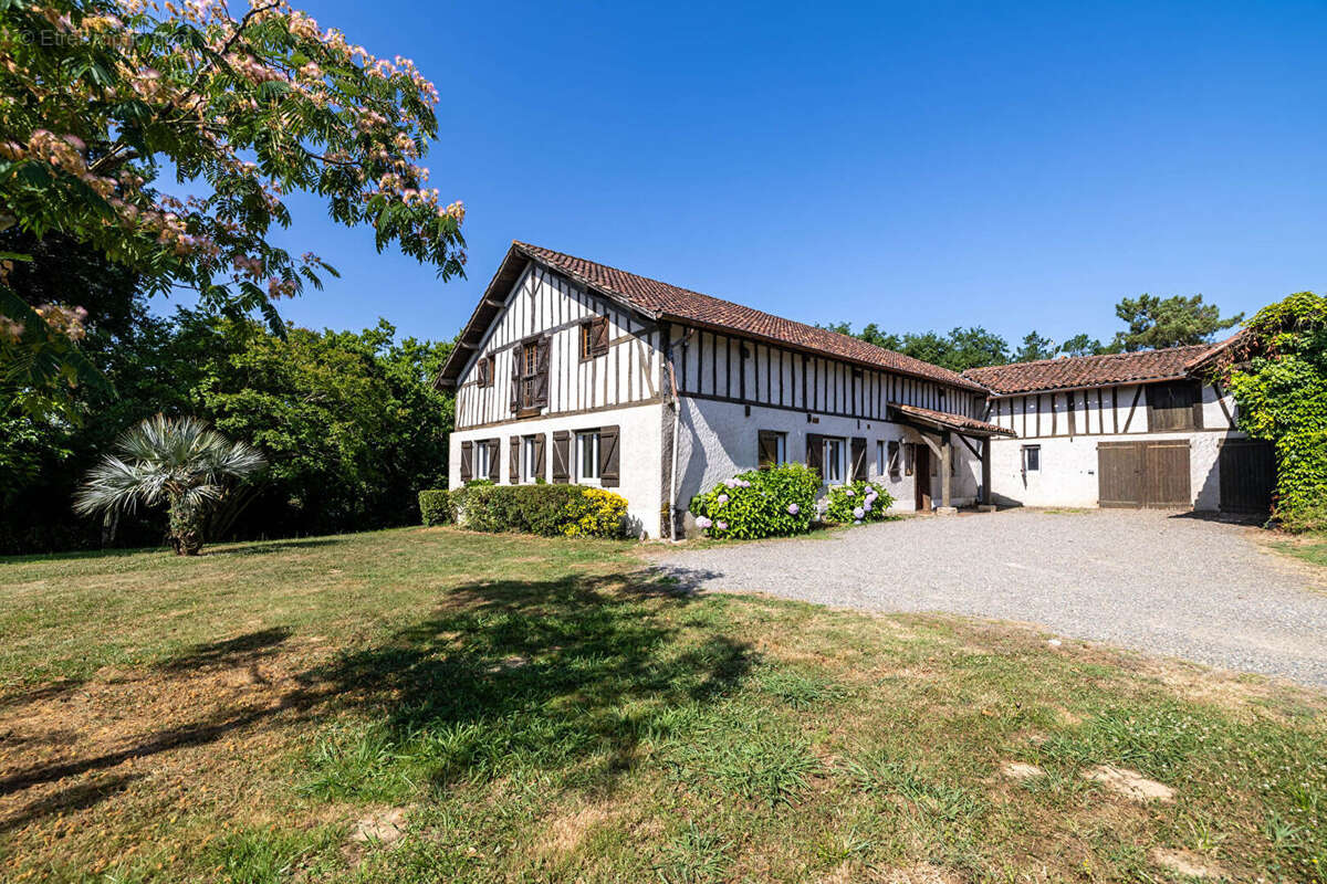 Maison à AIRE-SUR-L'ADOUR