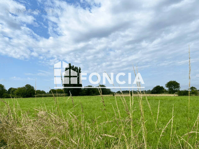 Terrain à LE VIVIER-SUR-MER