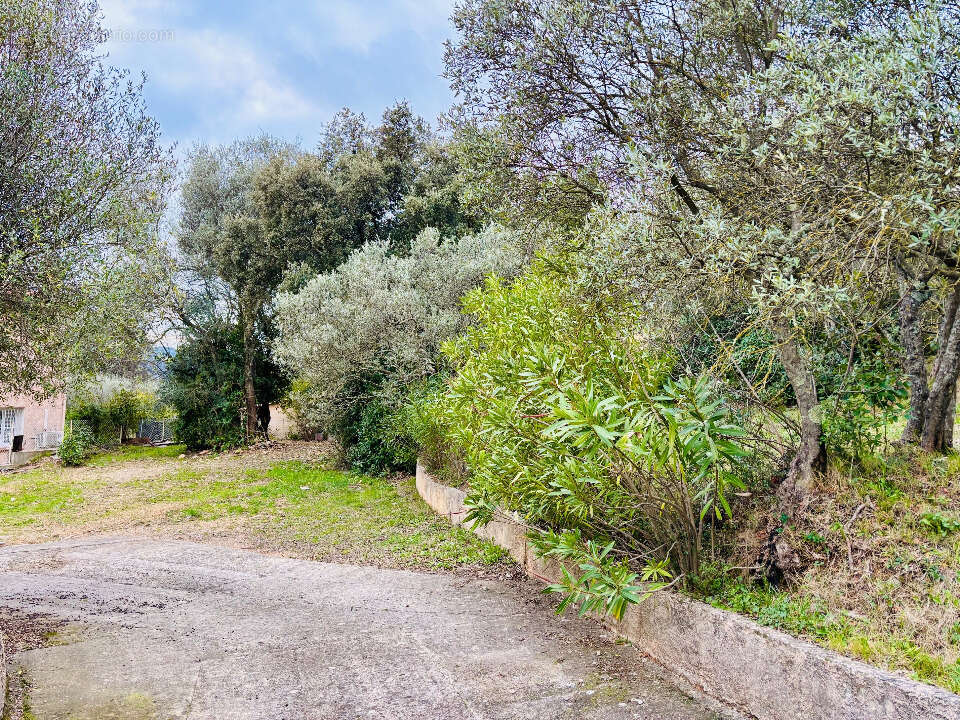 Terrain à PIGNANS