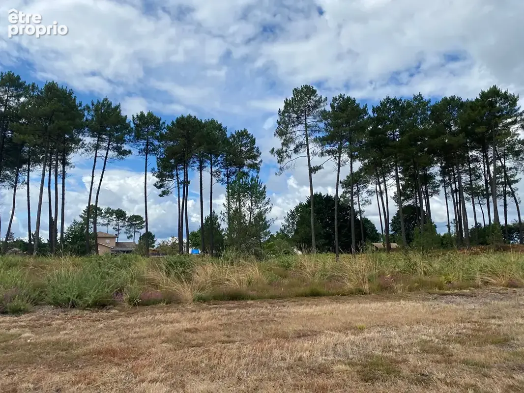 Terrain à RION-DES-LANDES