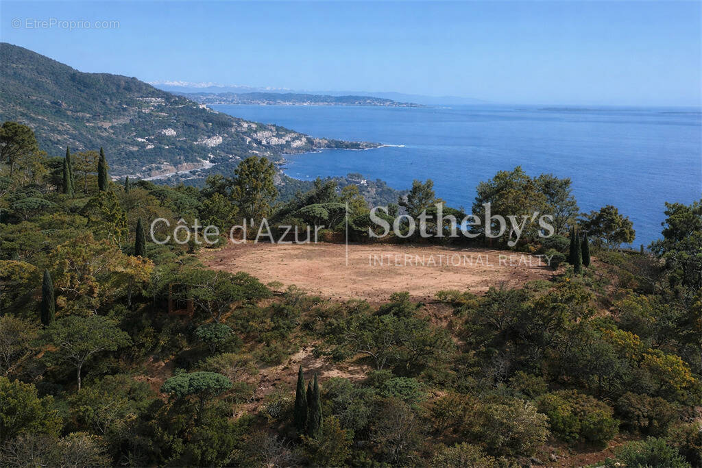 Terrain à THEOULE-SUR-MER