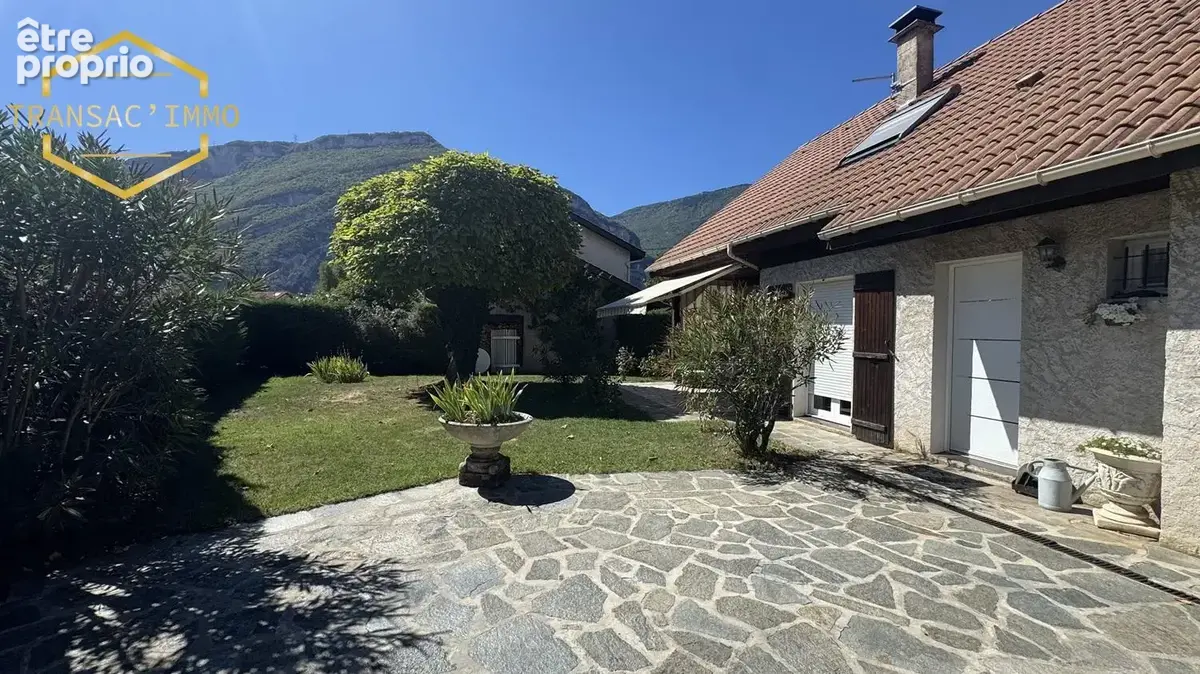 n°6