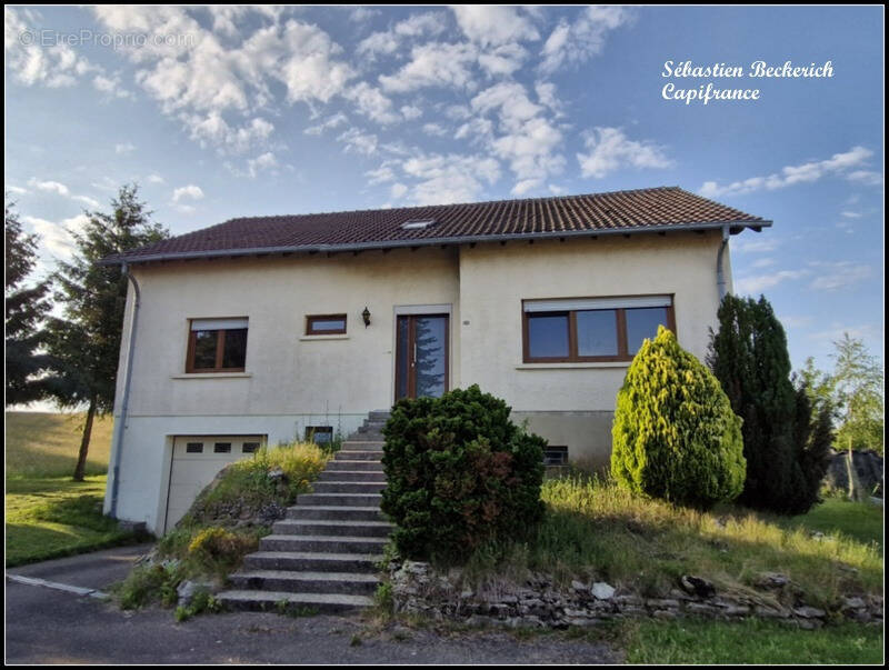 Maison à SARRALBE