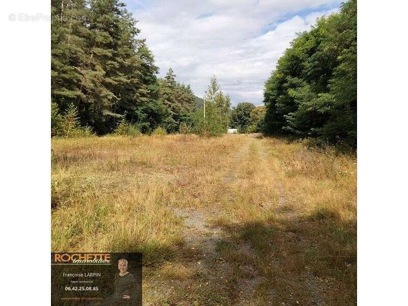 Commerce à SAINT-DIDIER-SUR-ROCHEFORT