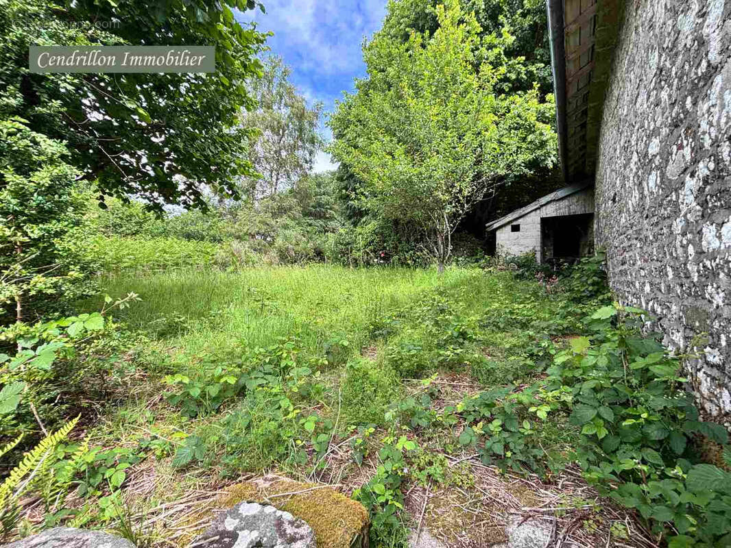 Projet rénovation ! Maison indépendante 70m2 habitables, en pierre avec terrain, près du Lac de Vassivière. - photo 37
