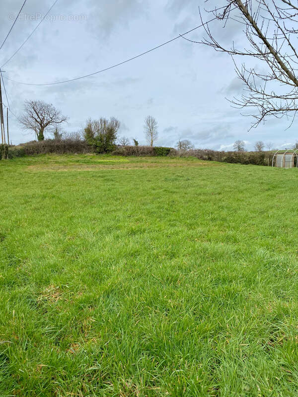 Maison à SAINT-PIERRE-LAVAL
