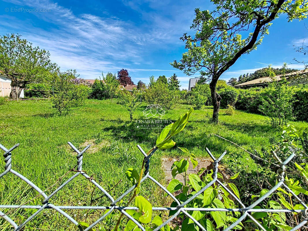 Terrain 535 m² à Saint-Georges-De-Reneins  - photo 6