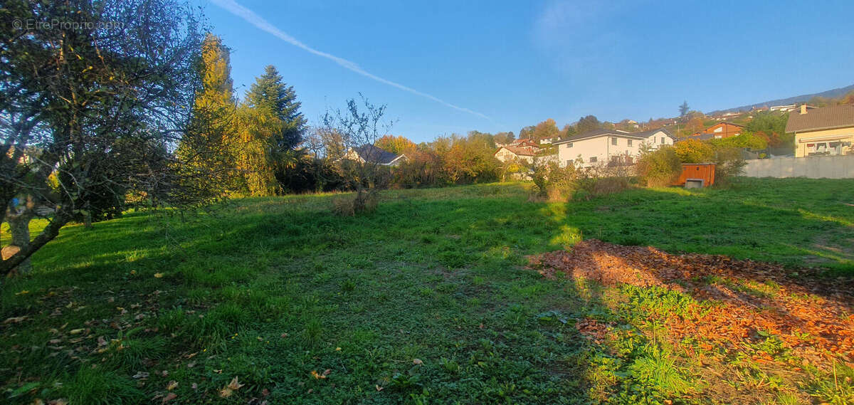 Terrain à CRANVES-SALES