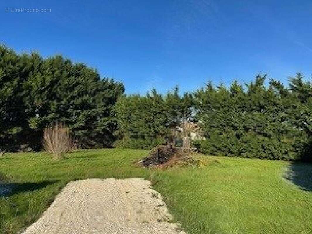 Photo 2 - Terrain à LOUPES