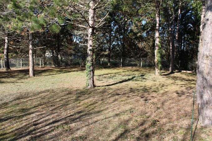 Terrain à FLEURANCE