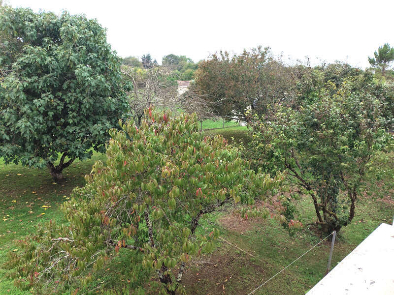 Maison à SAINT-GERMAIN-DE-LUSIGNAN