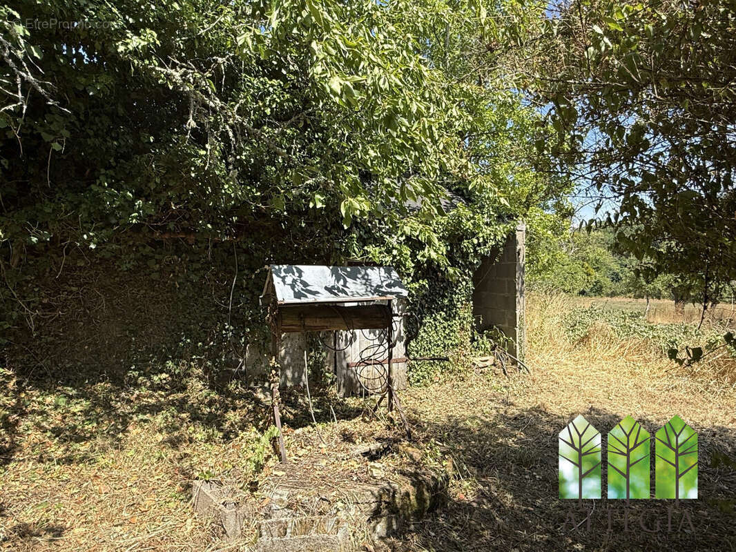 Maison 53 m² à Mortroux  - photo 3