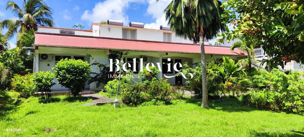 Maison à BASSE-TERRE