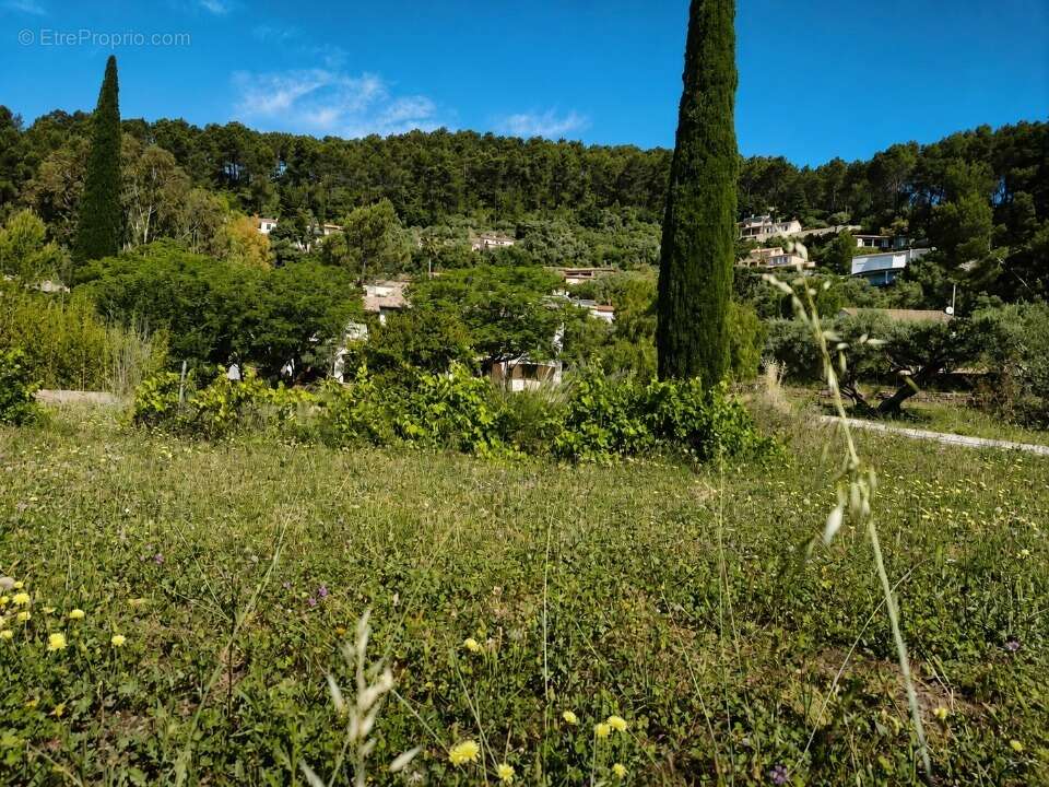 Terrain 501 m² à Sollies-Pont  - photo 3