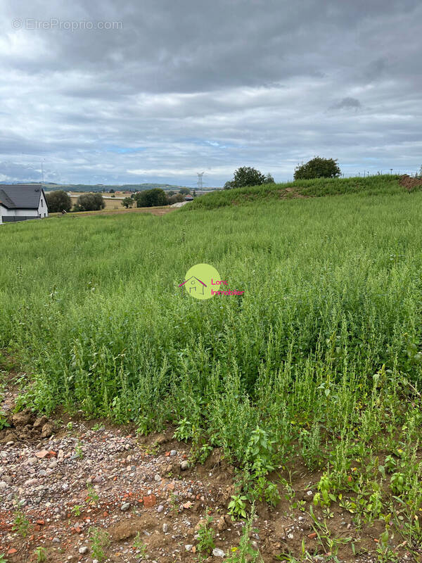 Terrain à SCHNERSHEIM