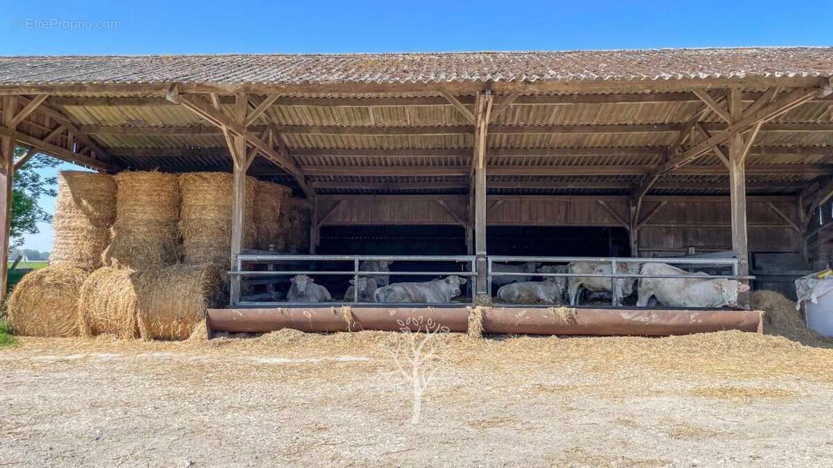 Maison à VEULETTES-SUR-MER