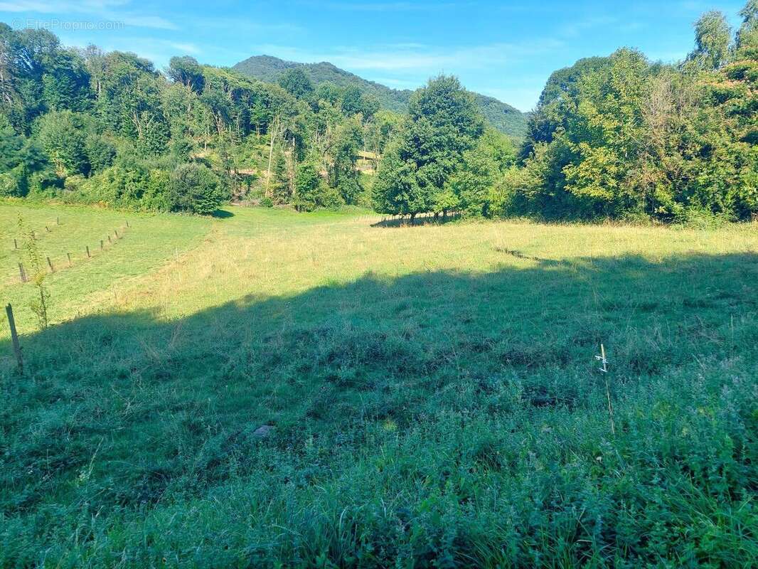 Terrain de 2 900 m², secteur "proche aspet"... - photo 4