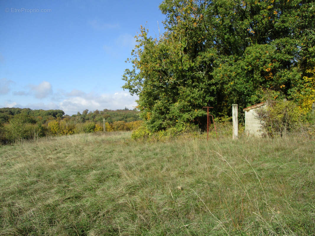 Terrain à VAUX