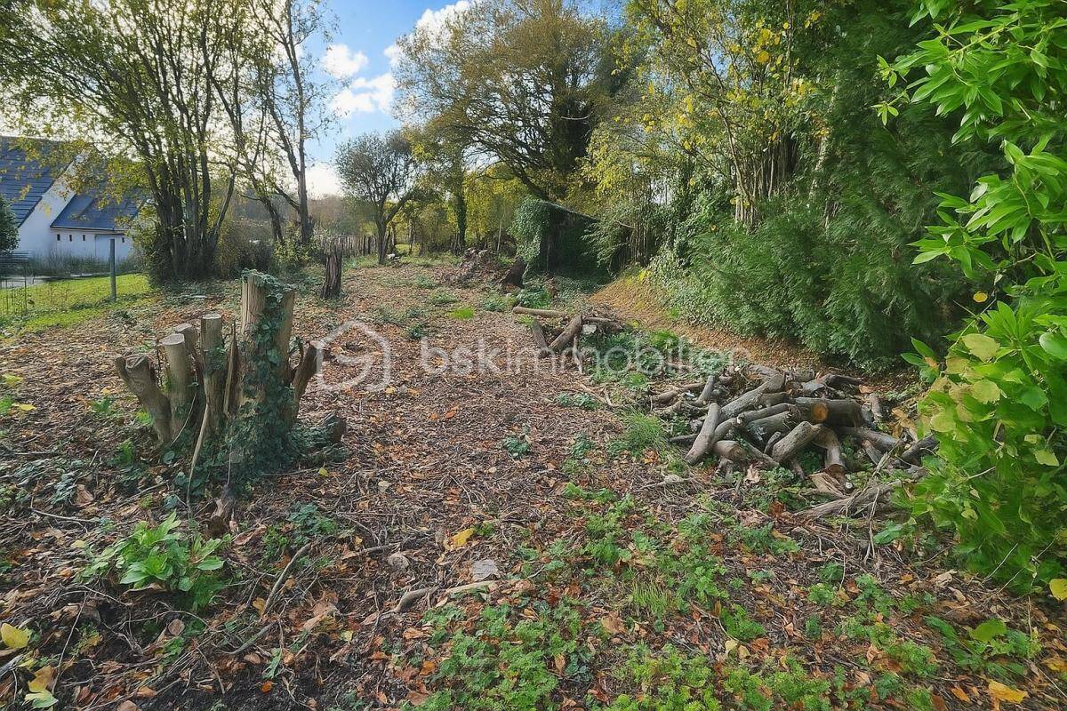 Terrain à CHANTELOUP