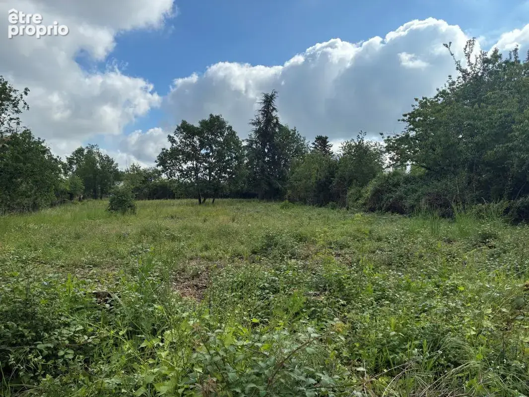 Photo Terrain à Albi au prix de 115 000€