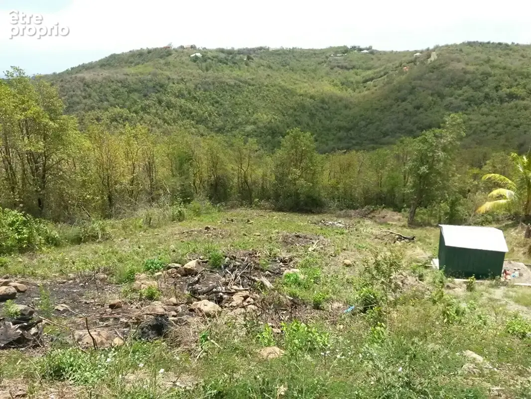 Terrain à LE MARIN