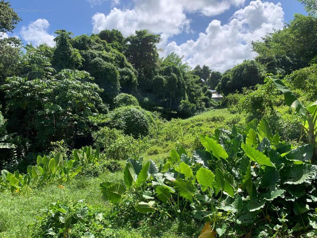 Photo 2 - Terrain à DUCOS