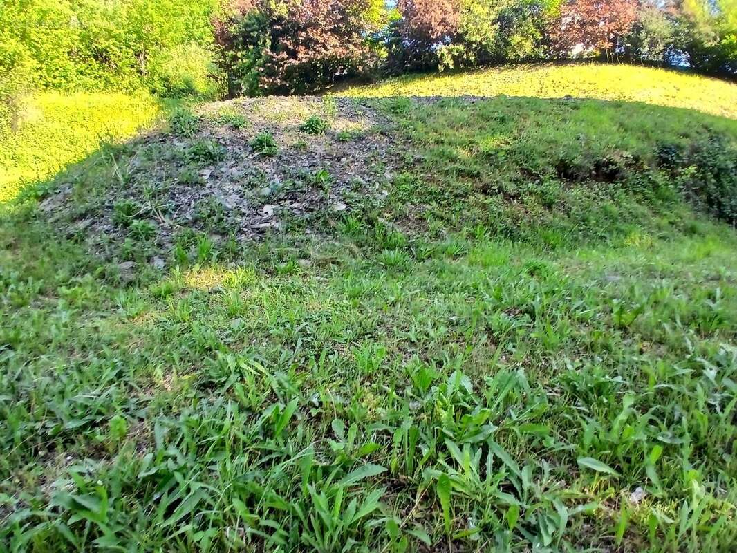 Terrain à LAISSAUD
