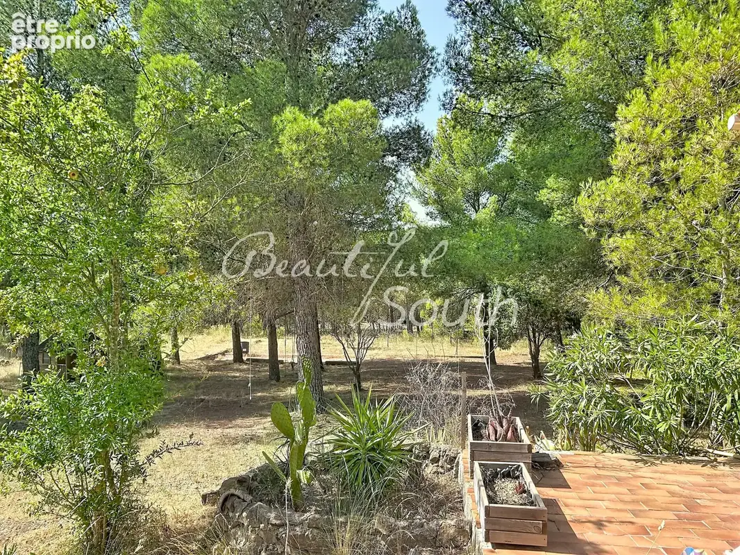 Villa de charme 174 m² – 7 000 m² de terrain, box à chevaux, calme absolu, prés Perpignan - photo 19
