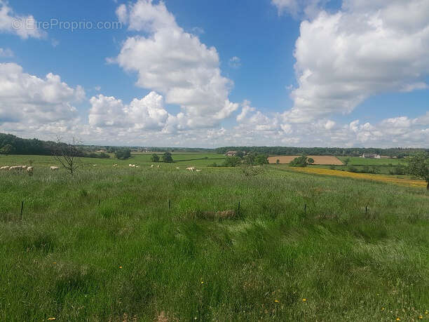 Maison à CIRY-LE-NOBLE