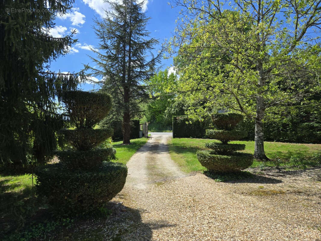Une vie paisible aux portes du village! - photo 26