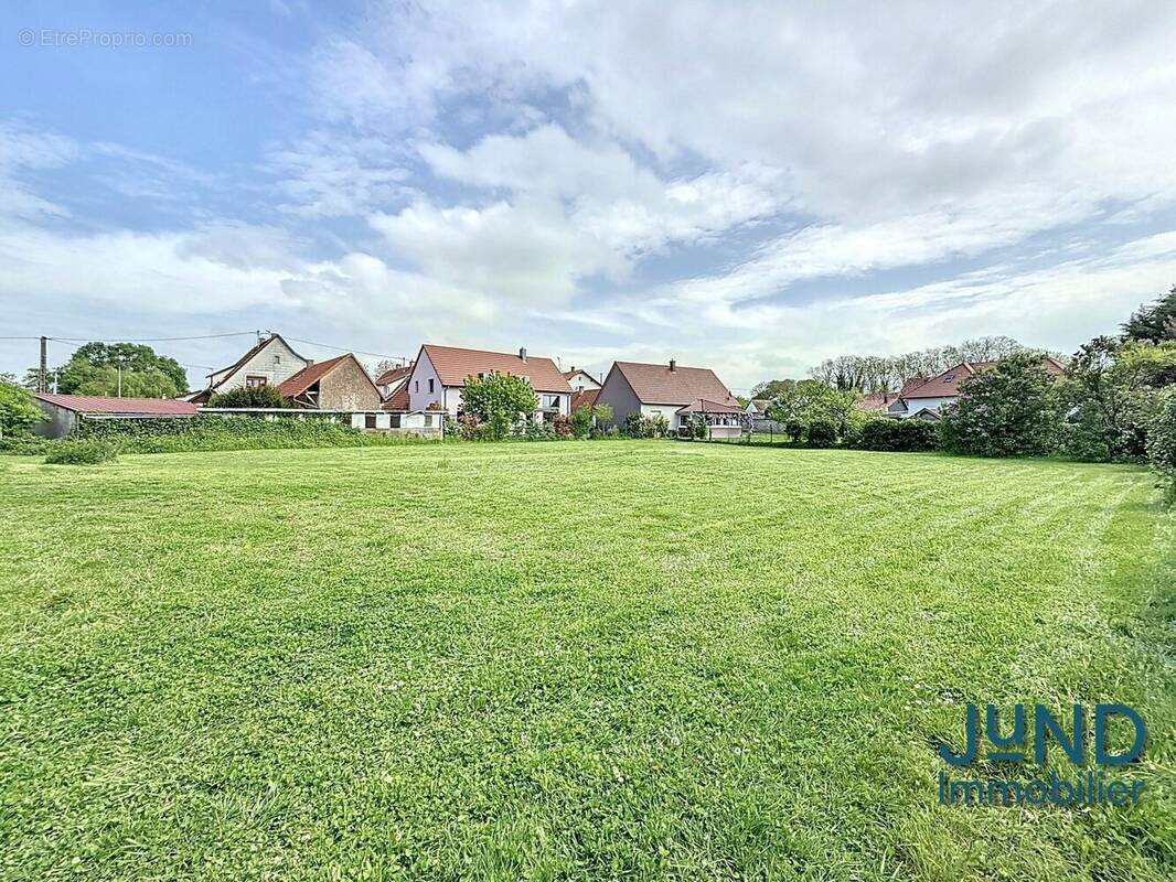 Terrain à SESSENHEIM