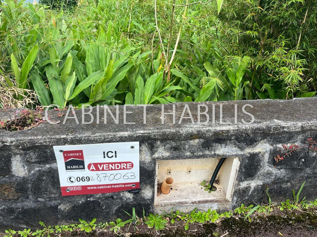 Terrain à LA PLAINE-DES-PALMISTES