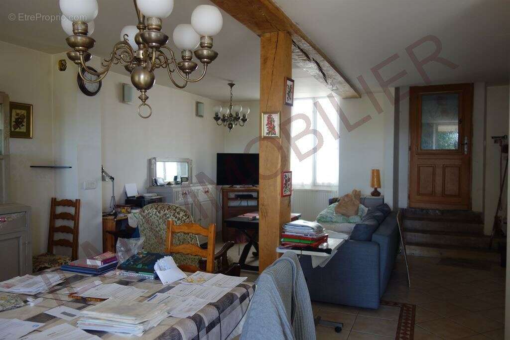Saint-Florentin – Agréable propriété avec maison principale, maison d'amis et vaste jardin de plus de 1 000 m² - photo 7