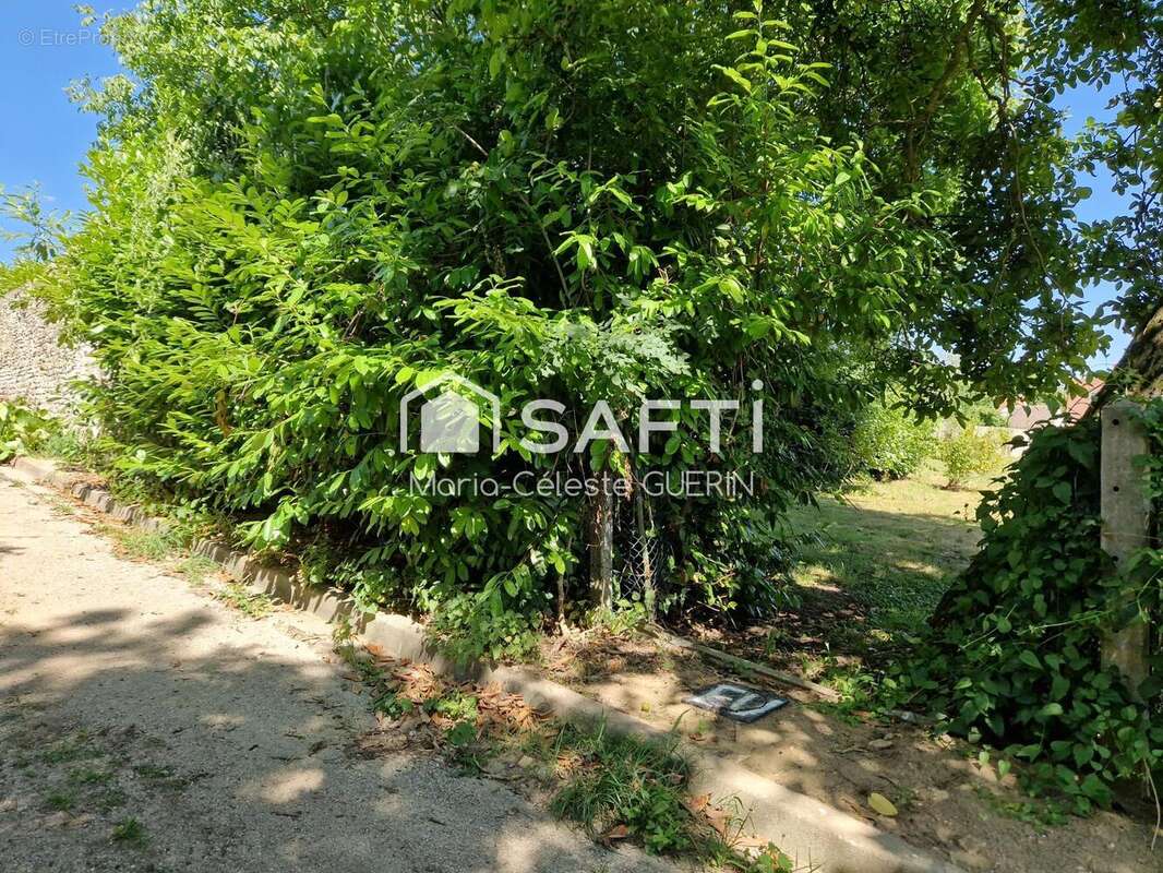 Photo 2 - Terrain à FONTENAY-SAINT-PERE