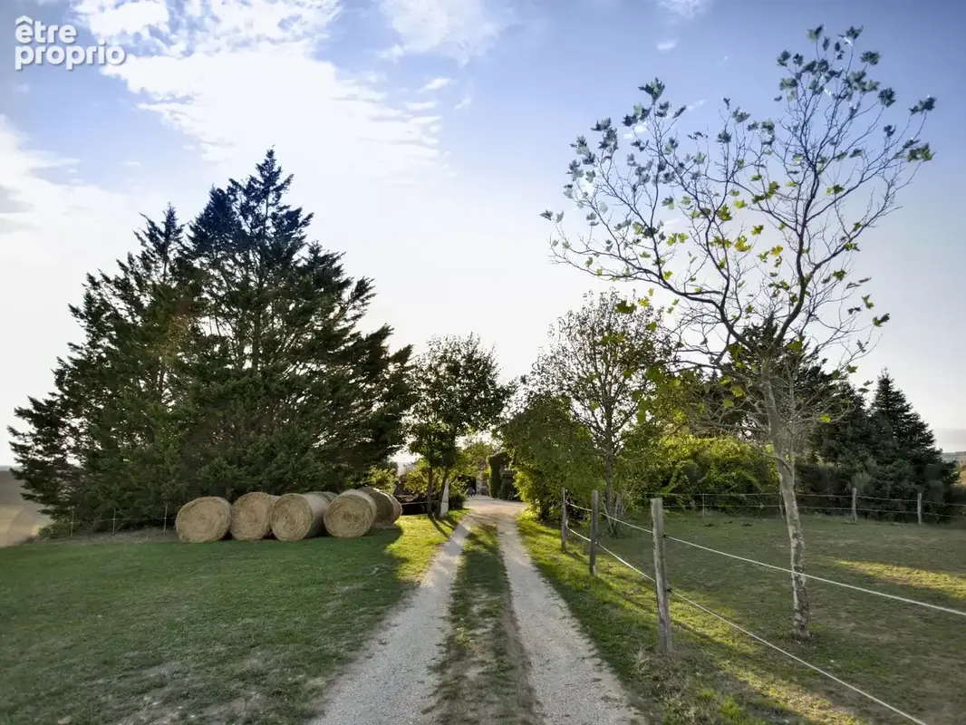 Le calme, enfin. - photo 20