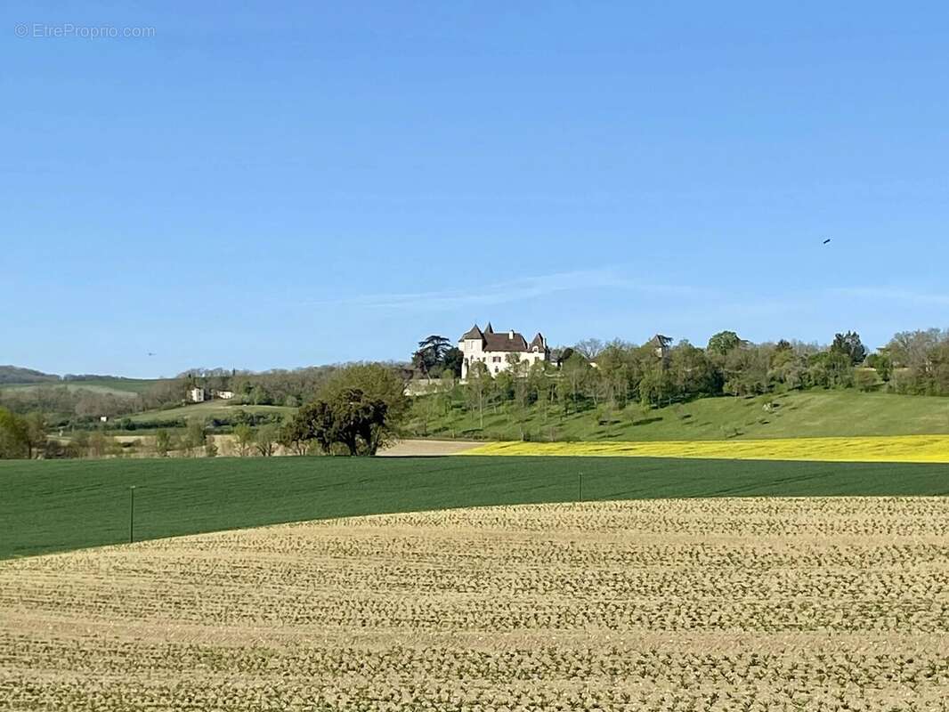 Maison à MONFLANQUIN