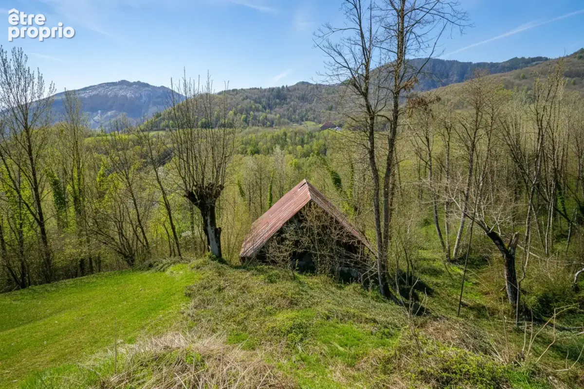 A vendre sur 2,4 ha en pleine nature 1 Chalet Rénové + 1 ancien chalet à réhabiliter - photo 29