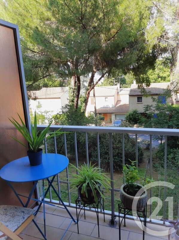 Photo 8 - Appartement à MONTPELLIER