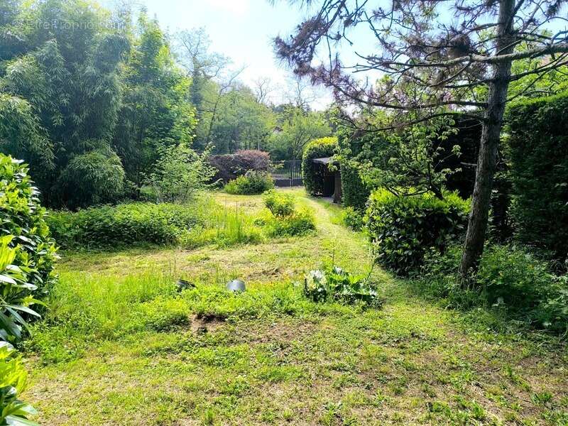 Terrain à SAINT-DIDIER-AU-MONT-D&#039;OR