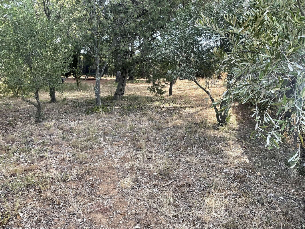 Terrain à SAINT-JEAN-DE-FOS