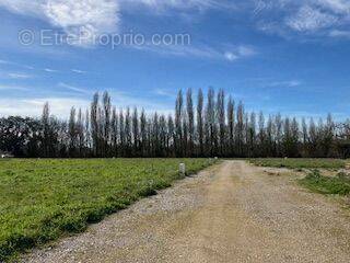 Terrain à MONTPELLIER-DE-MEDILLAN