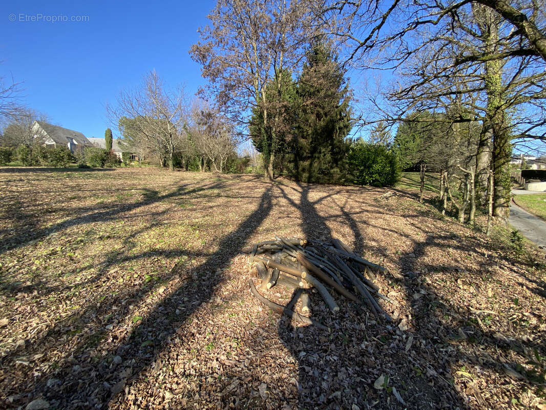 Terrain à DONZENAC