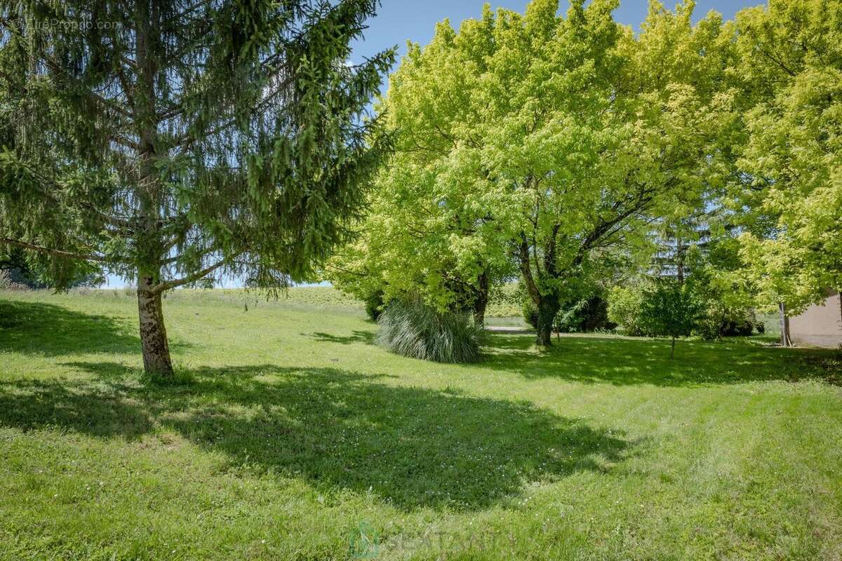 Magnifique propriete avec maison de maitre et dependances sur  + de 3 ha - photo 9