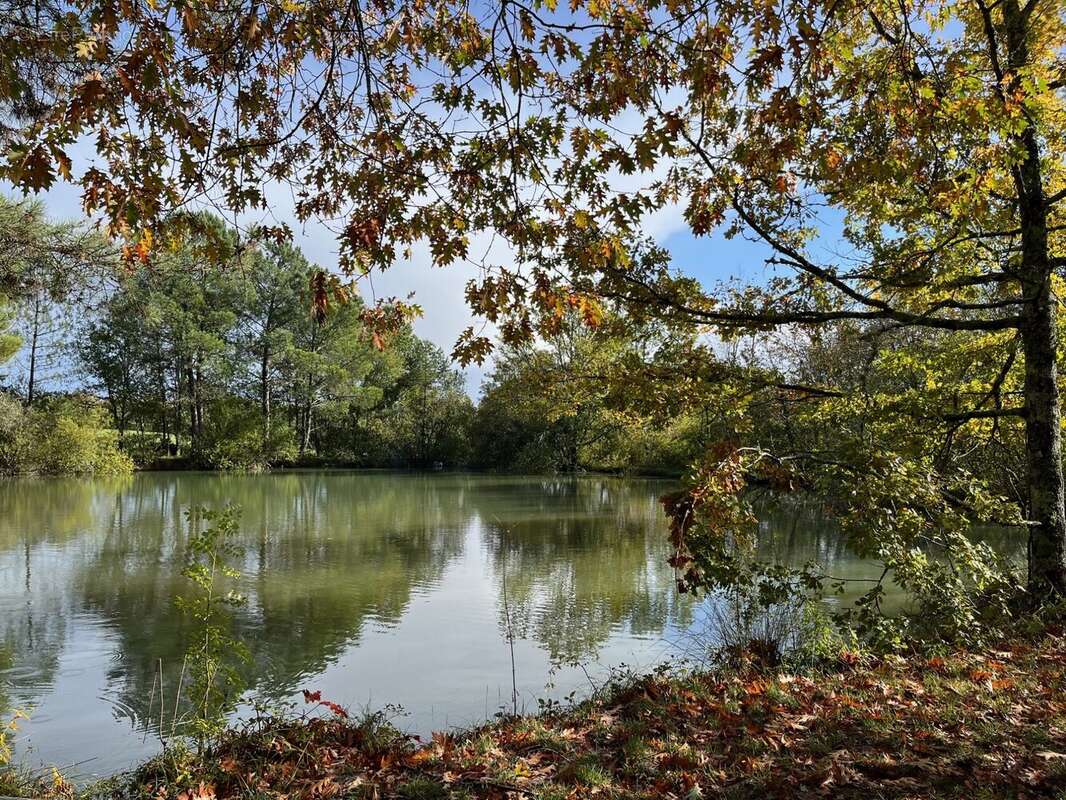 Maison à CAMPSEGRET